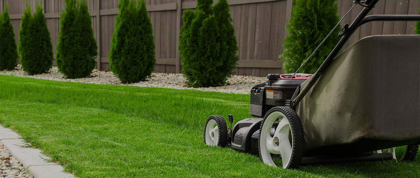 Taylor Lawn Care - Lawn Care Services Hamilton, Lawn Care Hamilton