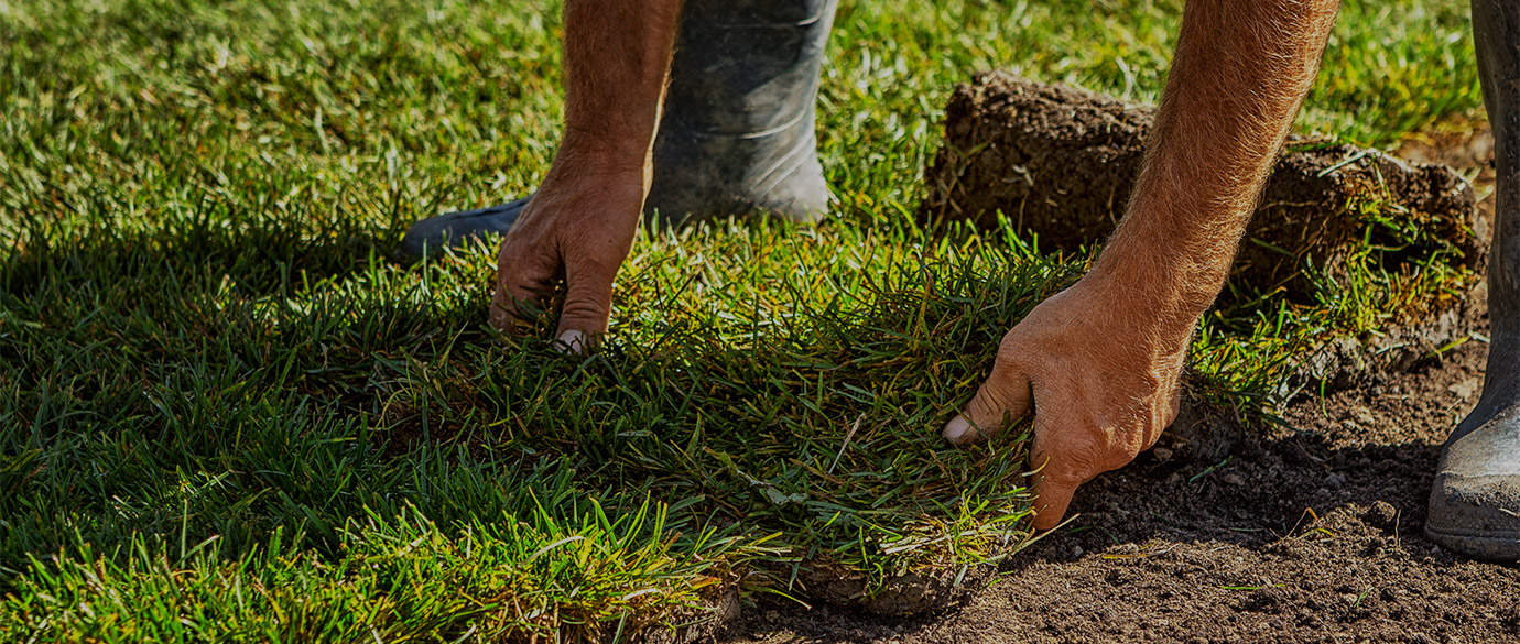 Taylor Lawn Care - Sod Installation Hamilton & Ancaster