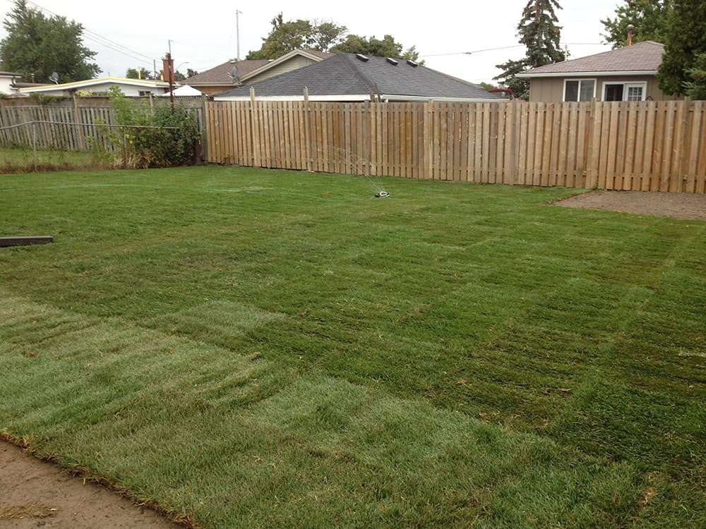 Taylor Lawn Care - Lawn Maintenance Hamilton, Grass Cutting Hamilton, Lawn Cutting Hamilton