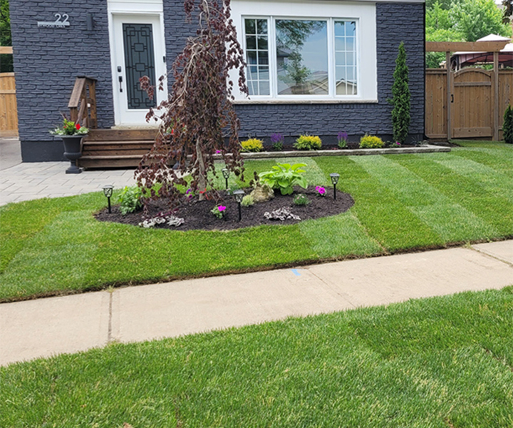 Lawn care, lawn cutting, and sod installation in Hamilton and Ancaster